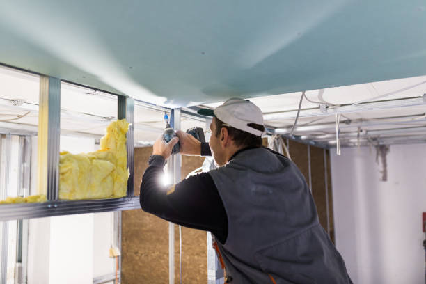 Best Residential Insulation Services  in Lake Katrine, NY