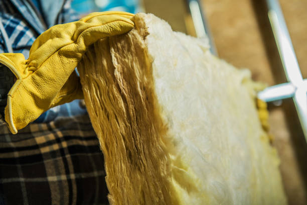 Best Professional Insulation Contractor  in Lake Katrine, NY