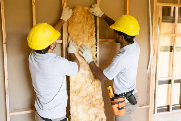 Best Insulation Removal Services  in Lake Katrine, NY
