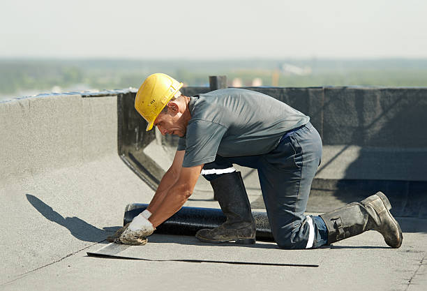Best Soundproof Insulation Installation  in Lake Katrine, NY