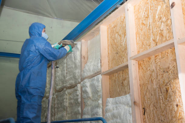 Best Insulation Repair Services  in Lake Katrine, NY